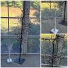 Pair of Lighted Decorative Birch Trees
