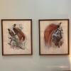 Pair of 21" x 25" Framed Paradisea Raggiana Bird Art Prints