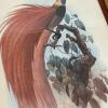 Pair of 21" x 25" Framed Paradisea Raggiana Bird Art Prints - 11