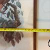Pair of 21" x 25" Framed Paradisea Raggiana Bird Art Prints - 12