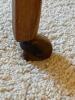 Early American Drop-Leaf Wooden Table - 4
