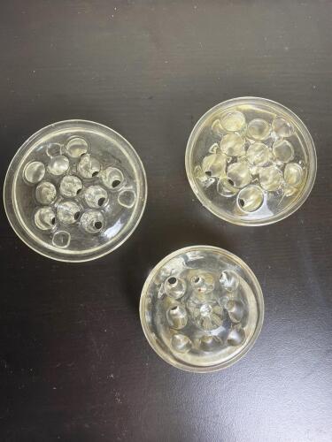 Clear Glass Flower Frog Arrangers