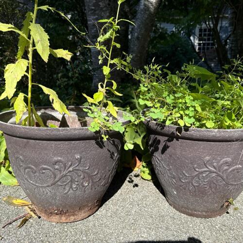 Outdoor Planters With Decorative Scrollwork Design