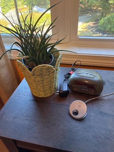 Bedside Items