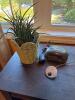 Bedside Items