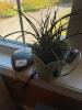 Bedside Items - 4