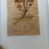 Pressed Flowers Wall Art - 2