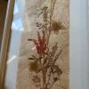 Pressed Flowers Wall Art - 3