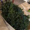 Slim Yuletide Pine 7.5 Foot Artificial Christmas Tree - 2