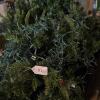 Slim Yuletide Pine 7.5 Foot Artificial Christmas Tree - 6