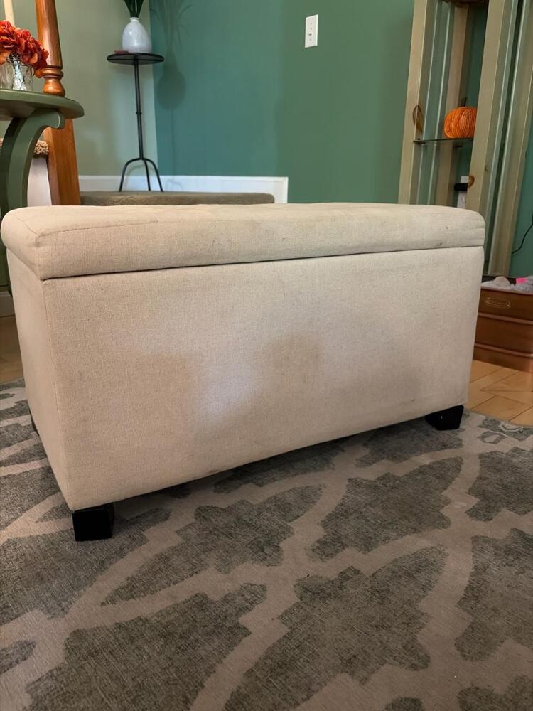 Beige Upholstered Storage Ottoman in Contemporary Style