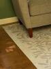 Ruggable Leaf Pattern Area Rug - 4