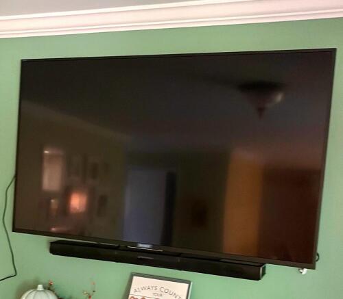 Sony Flat Screen 54" Television