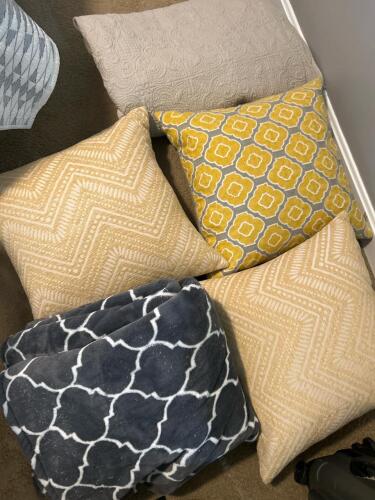 Decorative Throw Pillows and Blanket Lot