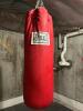 Everlast Heavy Bag, Boxing Gloves, Focus Mitts & Jump Rope - 2