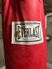 Everlast Heavy Bag, Boxing Gloves, Focus Mitts & Jump Rope - 3