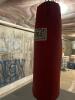Everlast Heavy Bag, Boxing Gloves, Focus Mitts & Jump Rope - 5