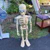 Animated Skeleton Halloween Prop