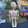 Animated Skeleton Halloween Prop - 4