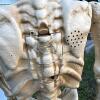 Animated Skeleton Halloween Prop - 5