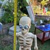 Animated Skeleton Halloween Prop - 8