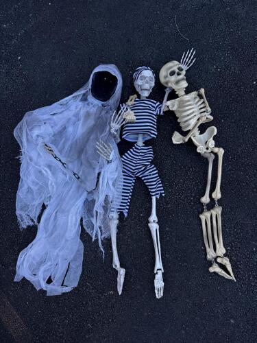 Halloween Skeleton and Ghost Decorations