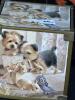 K-9 Lover Storage Collection - 8