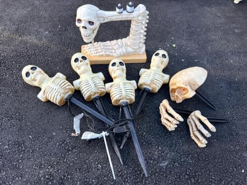 Halloween Skeleton Collection