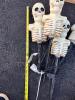 Halloween Skeleton Collection - 3