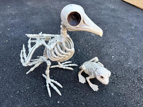 Halloween Plastic Frog and Bat Skeleton Decorations