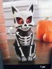Halloween Spooky LED Crystal Ball, Skeleton Cat, Shadow Projector - 3