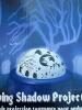Halloween Spooky LED Crystal Ball, Skeleton Cat, Shadow Projector - 4