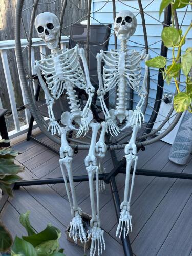 Pair of Life-Size Plastic Human Skeleton Decorations
