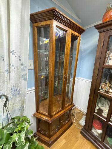Lighted Glass Curio Cabinet