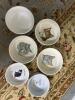 Assorted Ceramic Pet Bowls