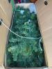 Artificial Pre-LIt Christmas Tree - NEW - 3