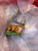 Holiday Village Houses and Christmas Figurines LOT - 5