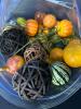 Fall & Thanksgiving Decorations Lot - 9