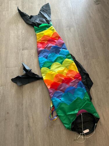Large Go Fly A Kite Fish Windsock Kite Rainbow Design