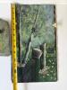 Hand Painted Slate Wall Plaques - 4