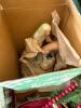 Large Christmas Lot - Ornaments and Wrapping - 10