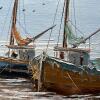 Maine Harbor Scene Print & Framed Sailboat Painting - 3