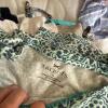 Women's Clothing and Accessories Assortment includes Talbots cold water creek and others - 2