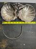 Silver Plated Shell Form Double Server with Handle, Hong Kong - 2