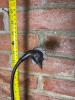 Rustic Decor Lot - 5