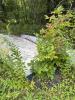 Boats for Repurposing - Think of the Garden Possibilities! - 6