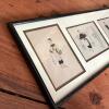 32.5" x 10.5" Framed Chinese Figural Works on Paper - 4