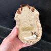 Handmade Ceramic Wall Pocket by Helen Horan - 3