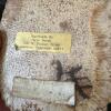 Handmade Ceramic Wall Pocket by Helen Horan - 4