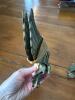 Three Brass Eagle Wall Plaques in Colonial-Style - 4